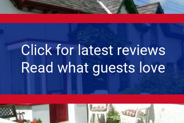 www.widowsrownewcastle.co.uk - check out latest independent reviews