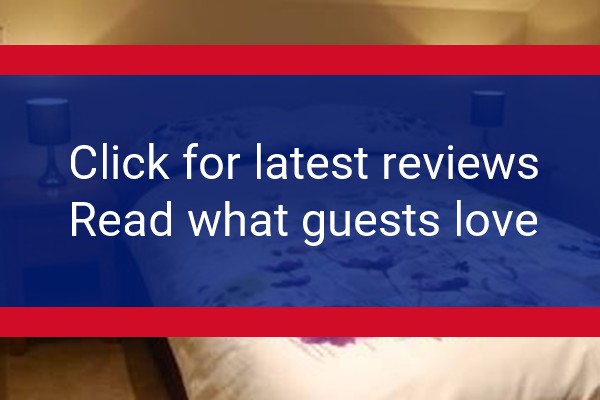 www.wildbunchhorseandmuleco.com - check out latest independent reviews