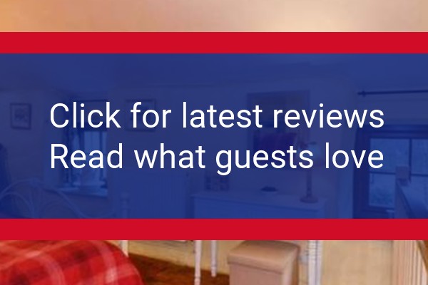 www.wildernessresort.com - check out latest independent reviews