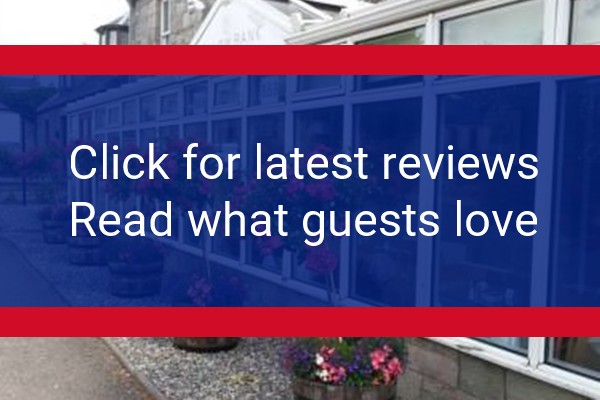 www.willowbankguesthouse.com - check out latest independent reviews