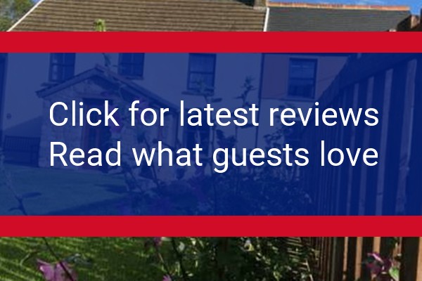 www.willowmews.com - check out latest independent reviews