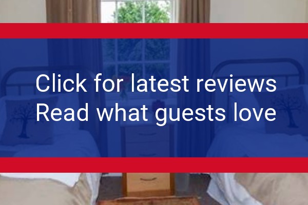 www.wisconsin-wills.com - check out latest independent reviews