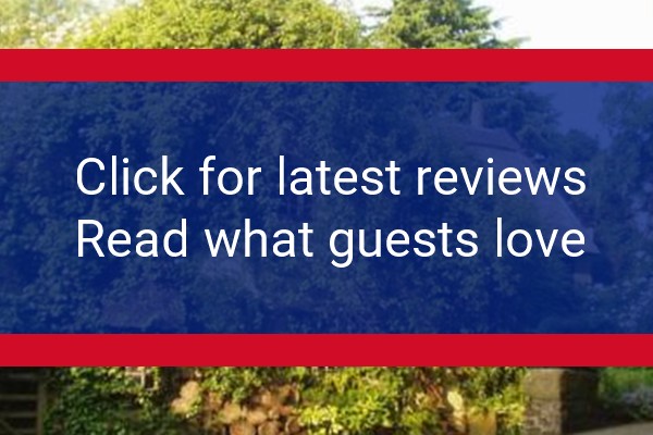 www.wizardsthatch.co.uk - check out latest independent reviews
