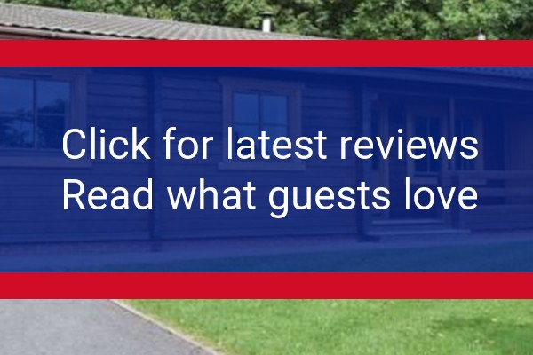 www.woodsidelodges.co.uk - check out latest independent reviews