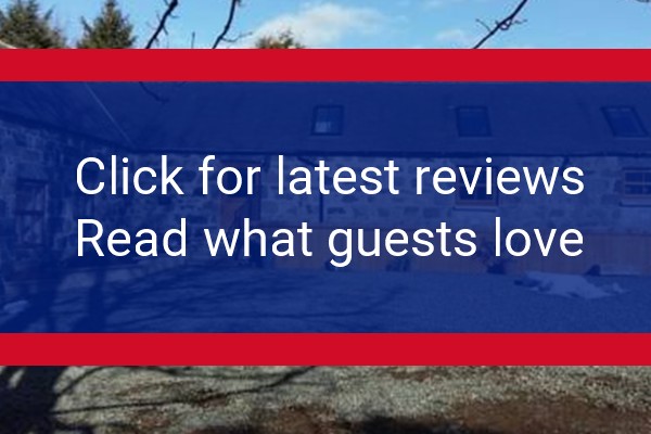 www.woodsidesteading.co.uk - check out latest independent reviews