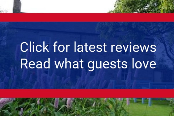 www.wydon-haltwhistle.co.uk - check out latest independent reviews