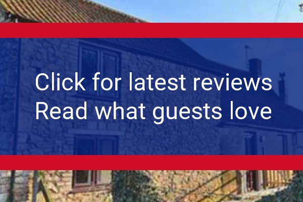www.wyevalegardencentres.co.uk - check out latest independent reviews