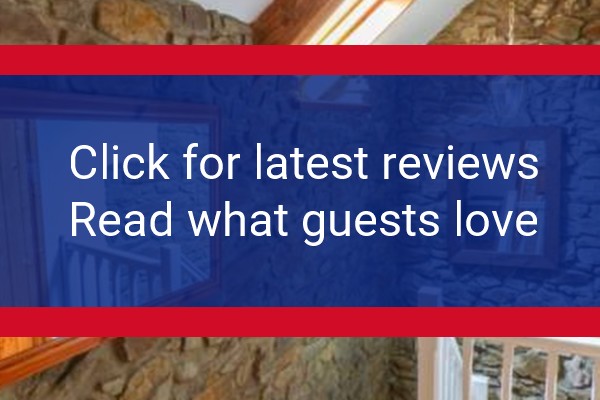 www.y-felin.com - check out latest independent reviews