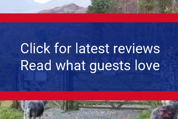 Www Yewtree Farm Com Booking And Review